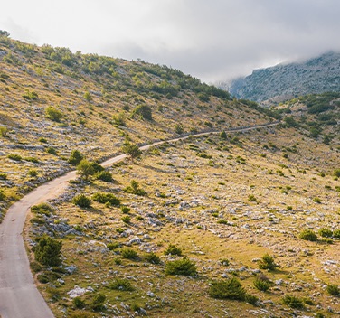 Zanimljivosti u blizini