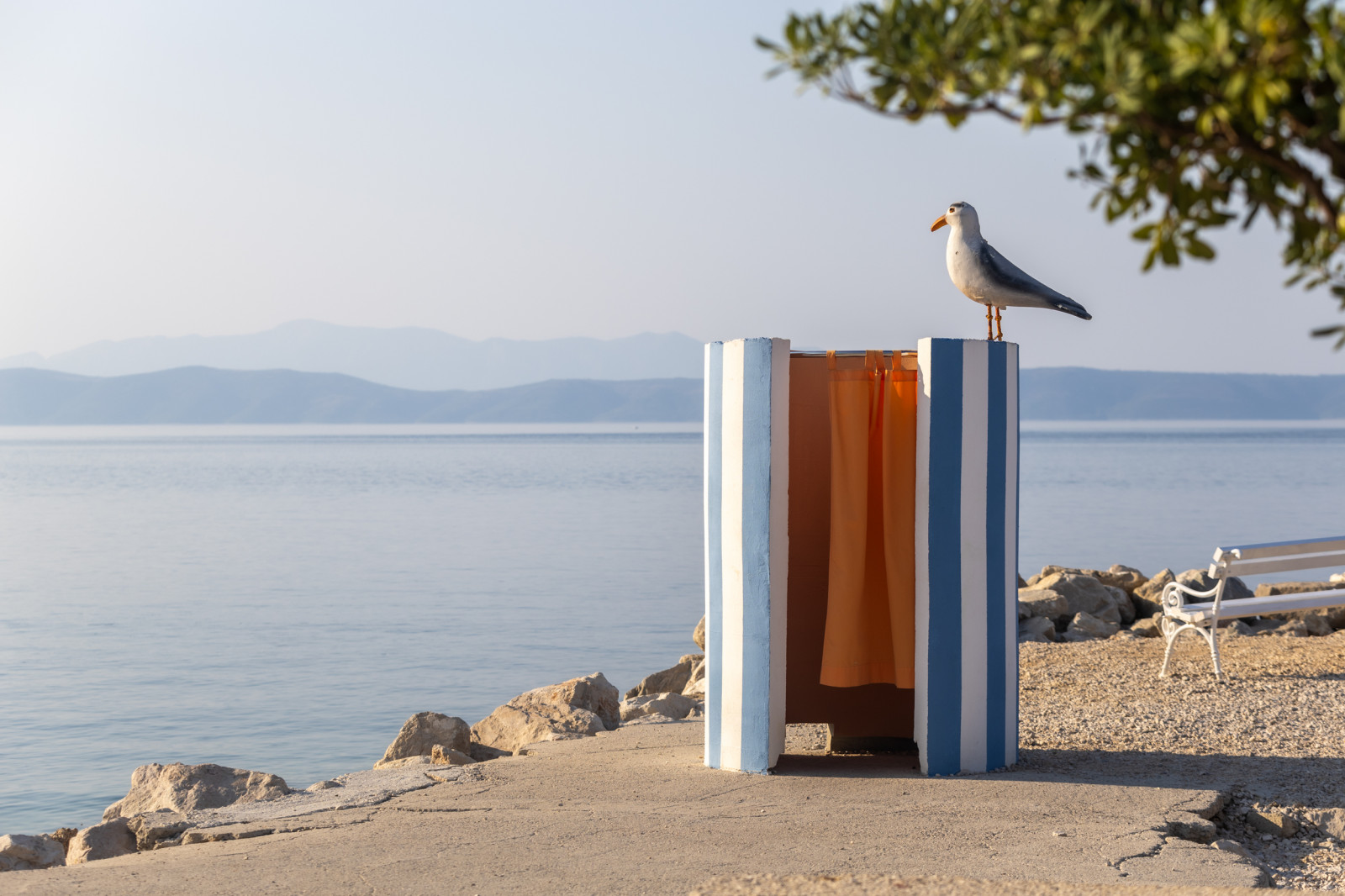 Priča o Podgorskom galebu