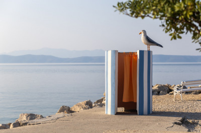 Priča o Podgorskom galebu